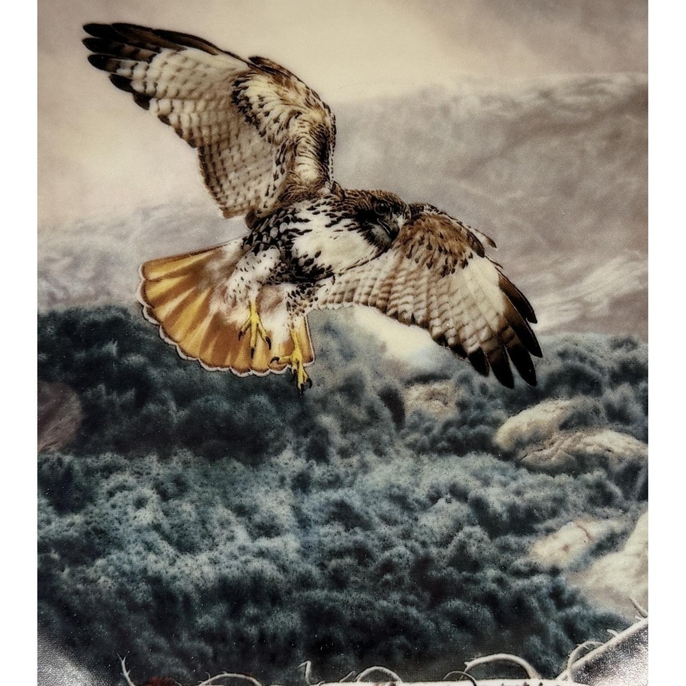 Red Tailed Hawk 1991 W S George Fine China Charles Frace Soaring Majesty w COA